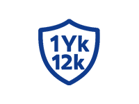 Free 1 Year/12kMiles Free Guarantee